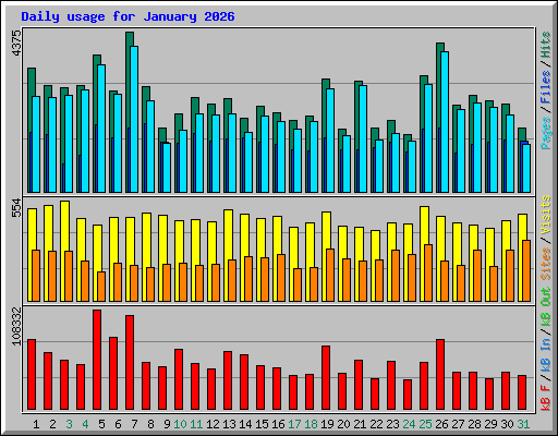 Daily usage for January 2026