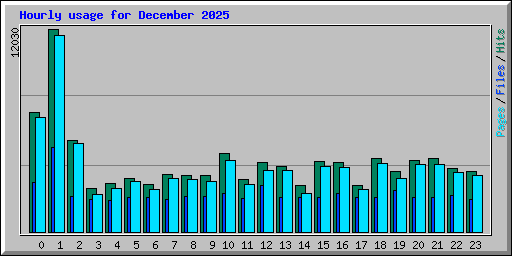 Hourly usage for December 2025