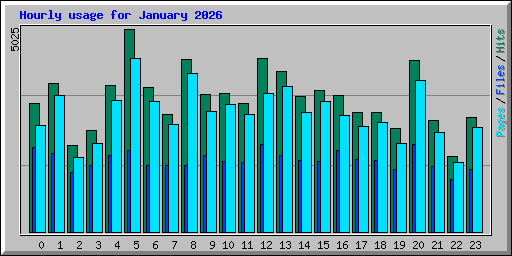 Hourly usage for January 2026